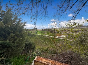 Vistas